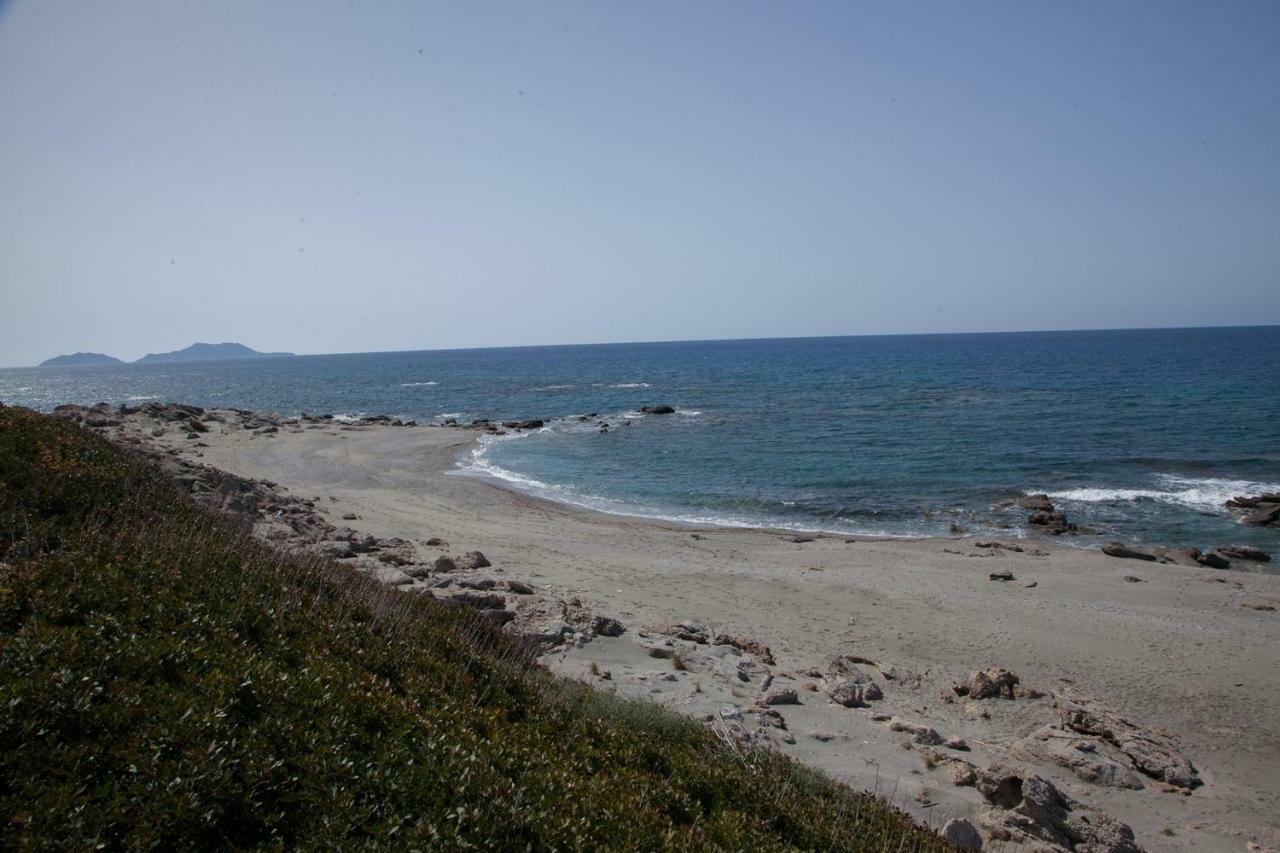 Alexandros Villa Agia Paraskevi  Luaran gambar